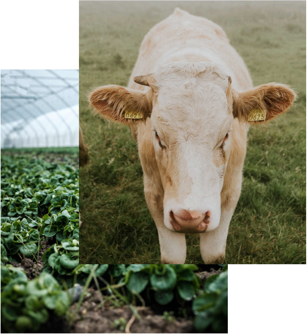 tecno-agri-agricoltori-mantovani